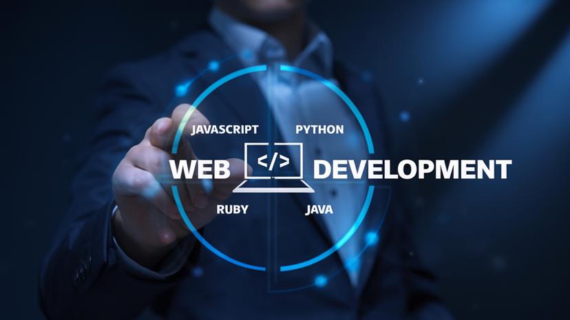 Website design illustration