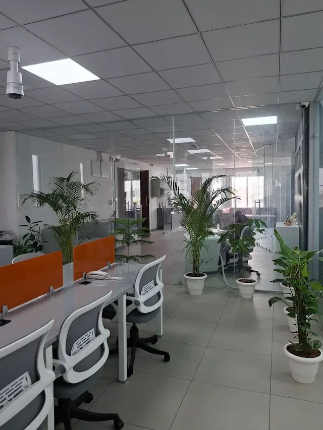 Travel and Tourism Icon